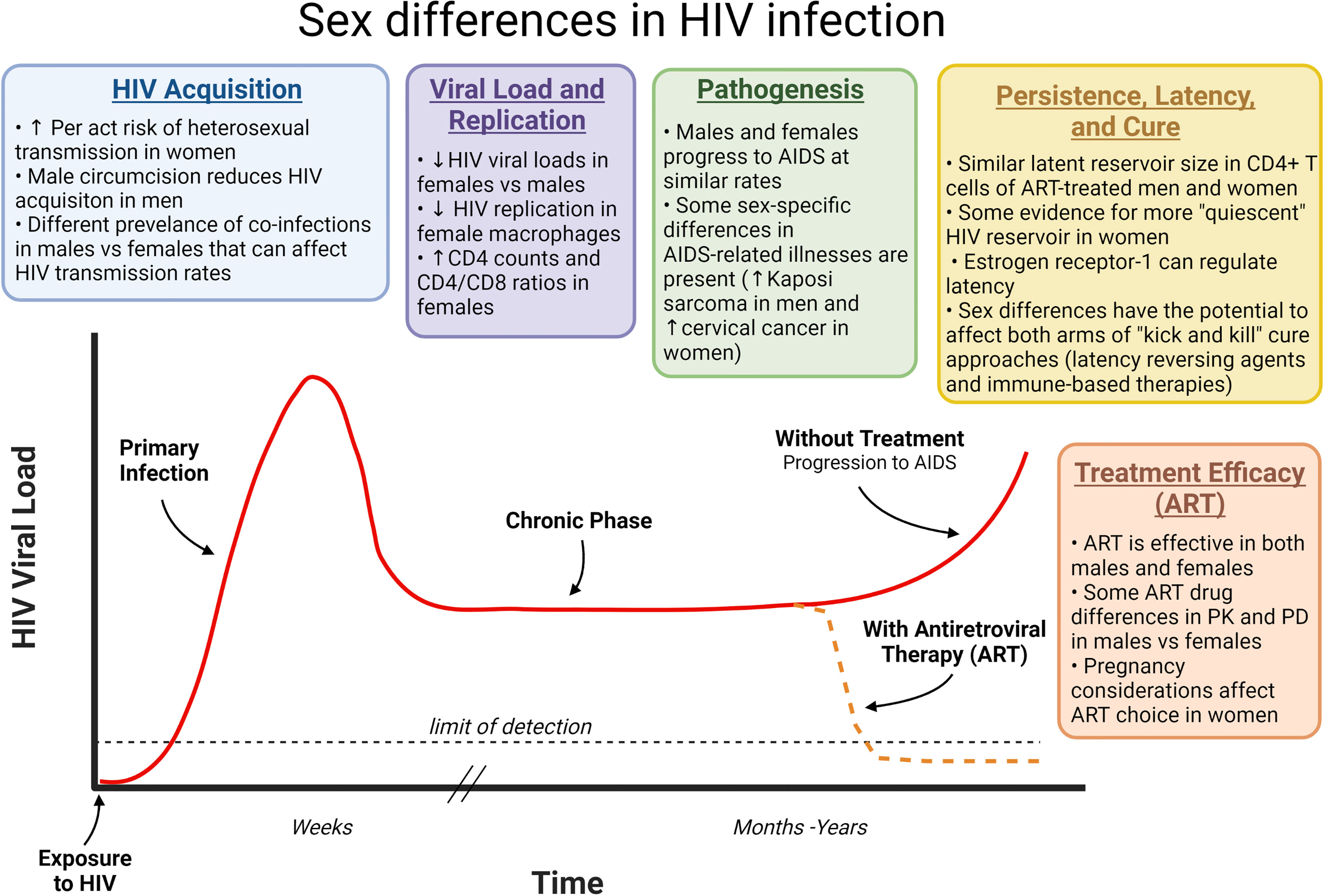 Frontiers Contribution Of Sex Differences To Hiv Immunology Pathogenesis And Cure Approaches