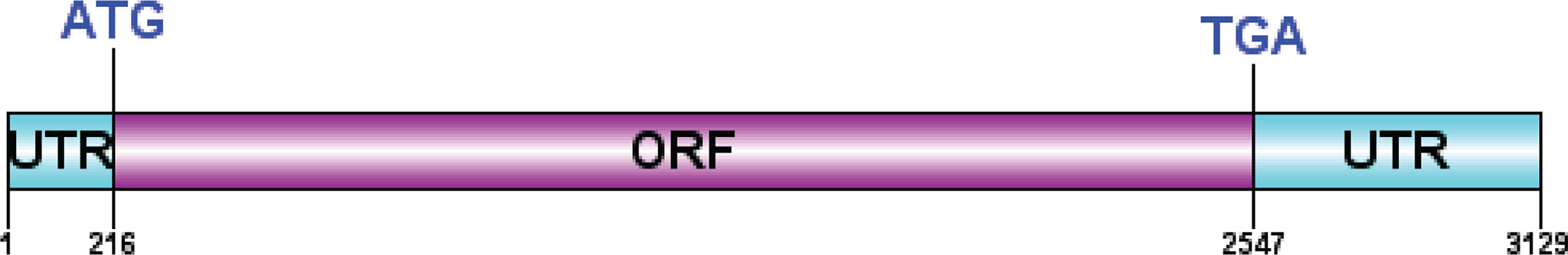www.frontiersin.org
