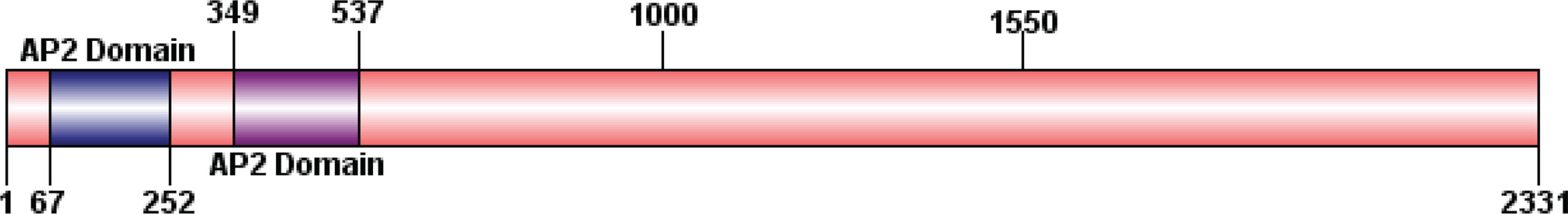 www.frontiersin.org