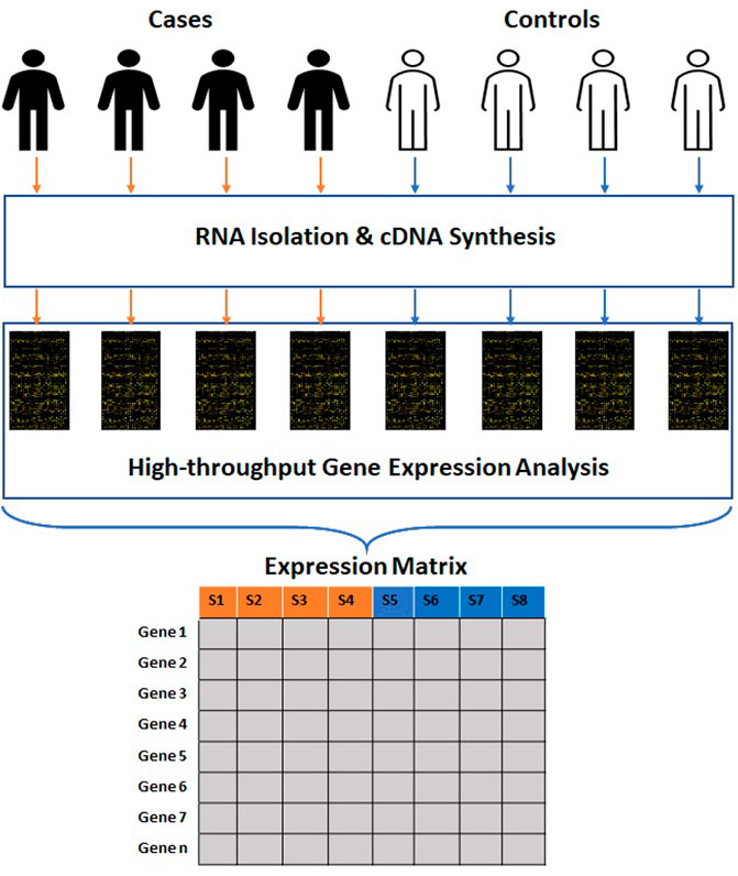 DS-501-Introduction-to-data-science/Case study 3