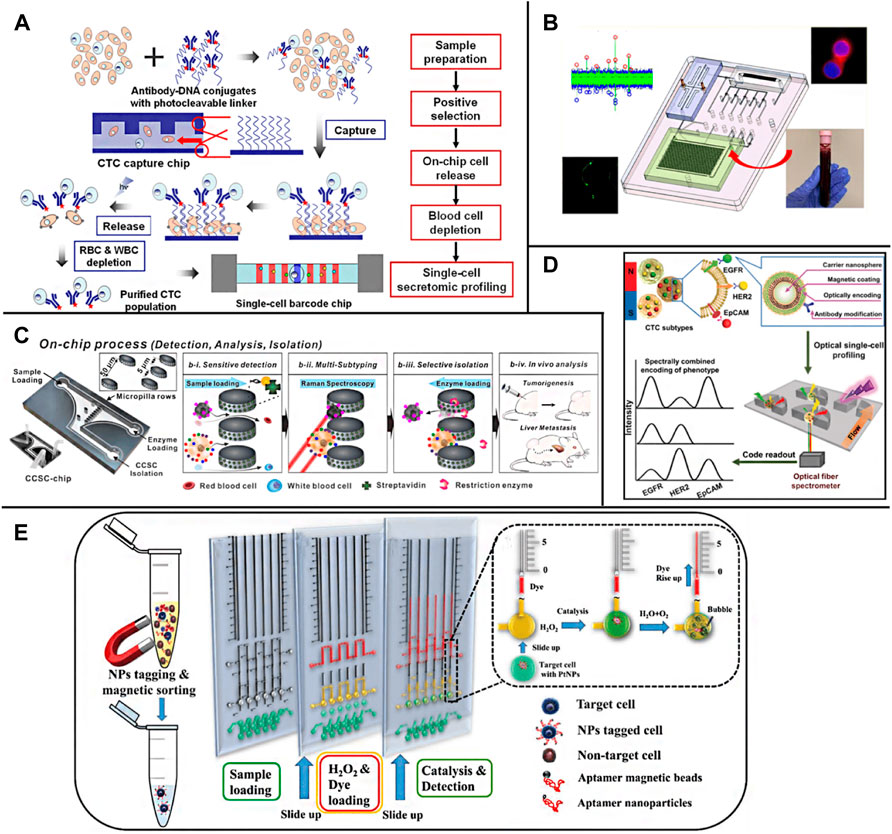 Frontiers  Application of Microfluidics in Detection of Circulating Tumor  Cells