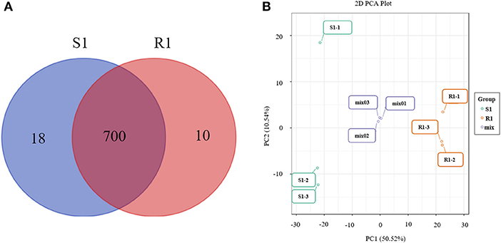 Frontiers | Metabolome and Microbiome Signatures in the Leaves of Wild ...