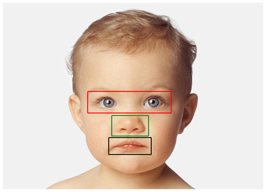 When Are Babies Facial Features Fully Developed?