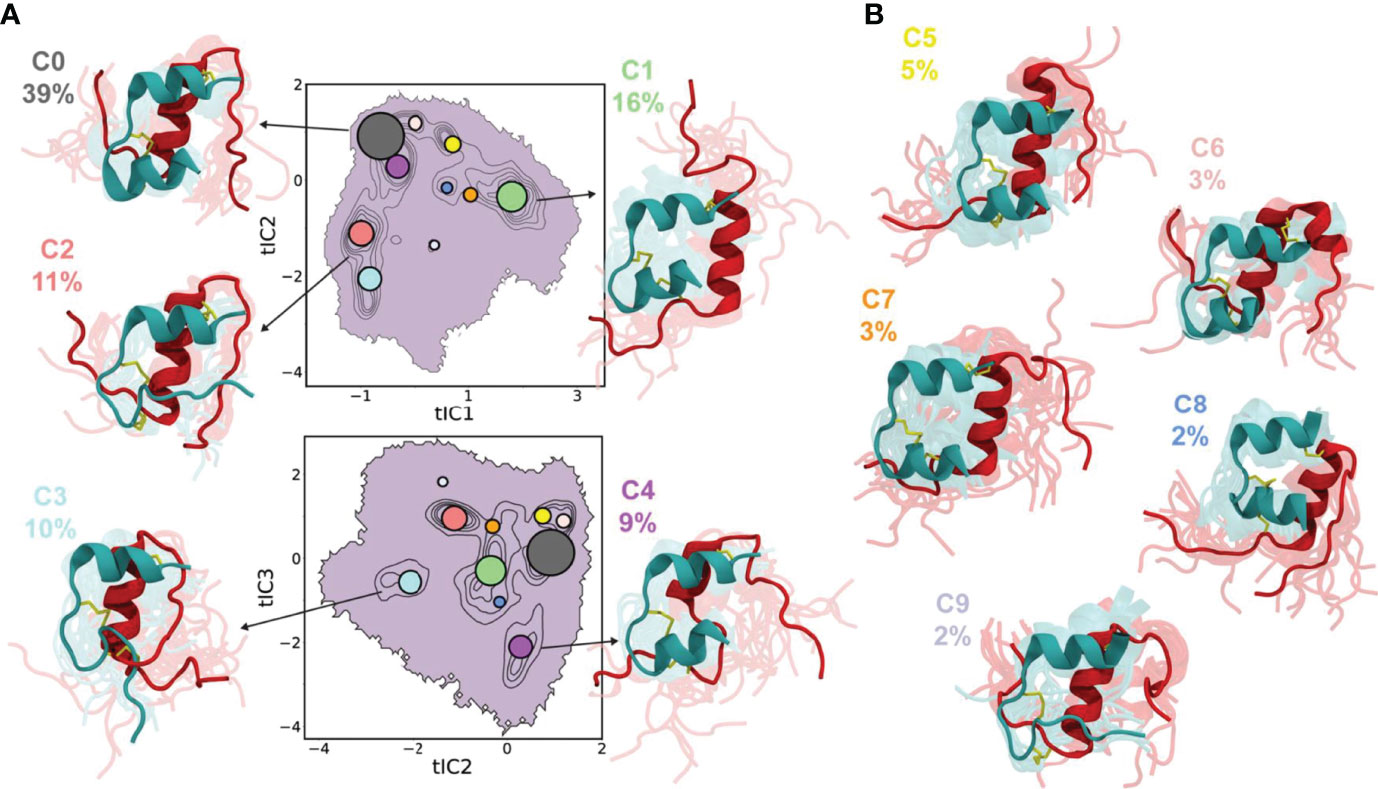 Frontiers  Progress in Simulation Studies of Insulin Structure