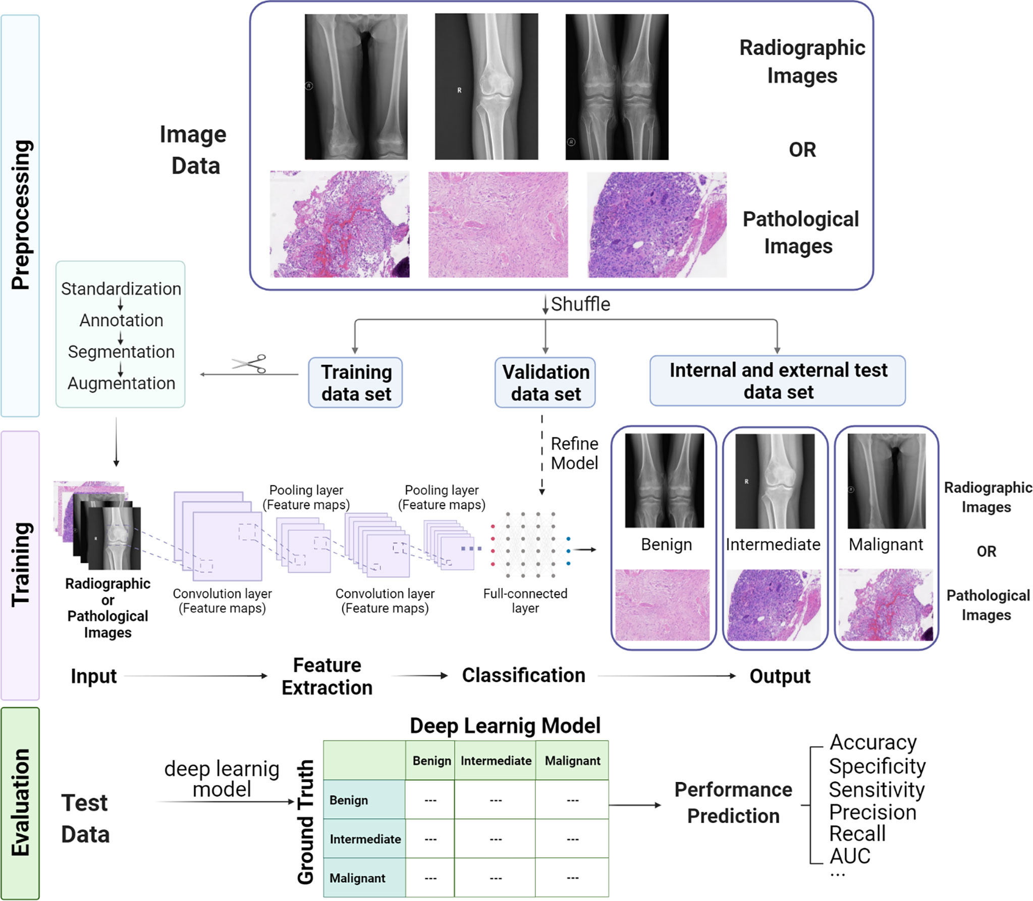 bone cancer research paper