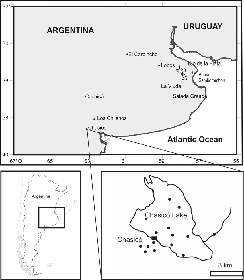 www.frontiersin.org