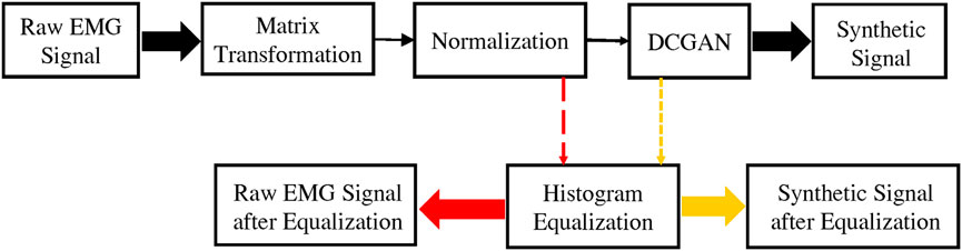 www.frontiersin.org