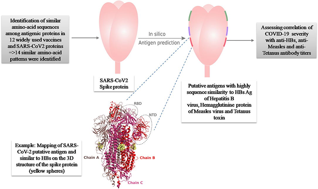 Hep B biotech Antios closed after FDA hold proved insurmountable