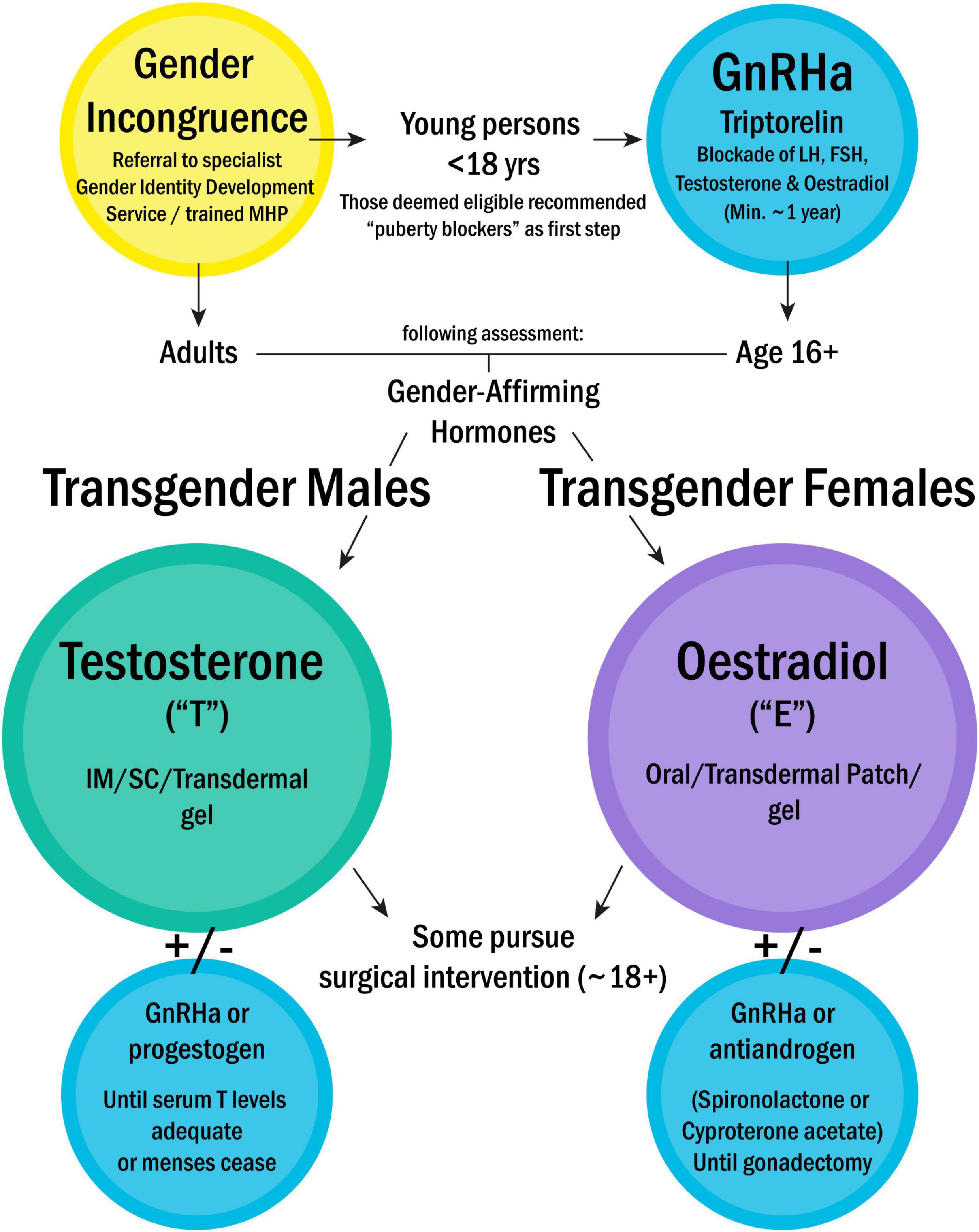 Update: My LGBT club WON the school wide RRW poster contest! : r/lgbt