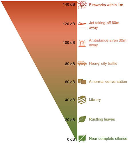 Figure 1 - Sound level values for certain sound sources.