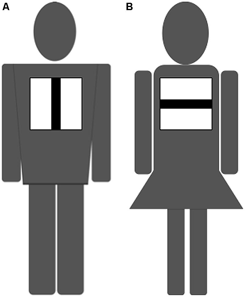 www.frontiersin.org