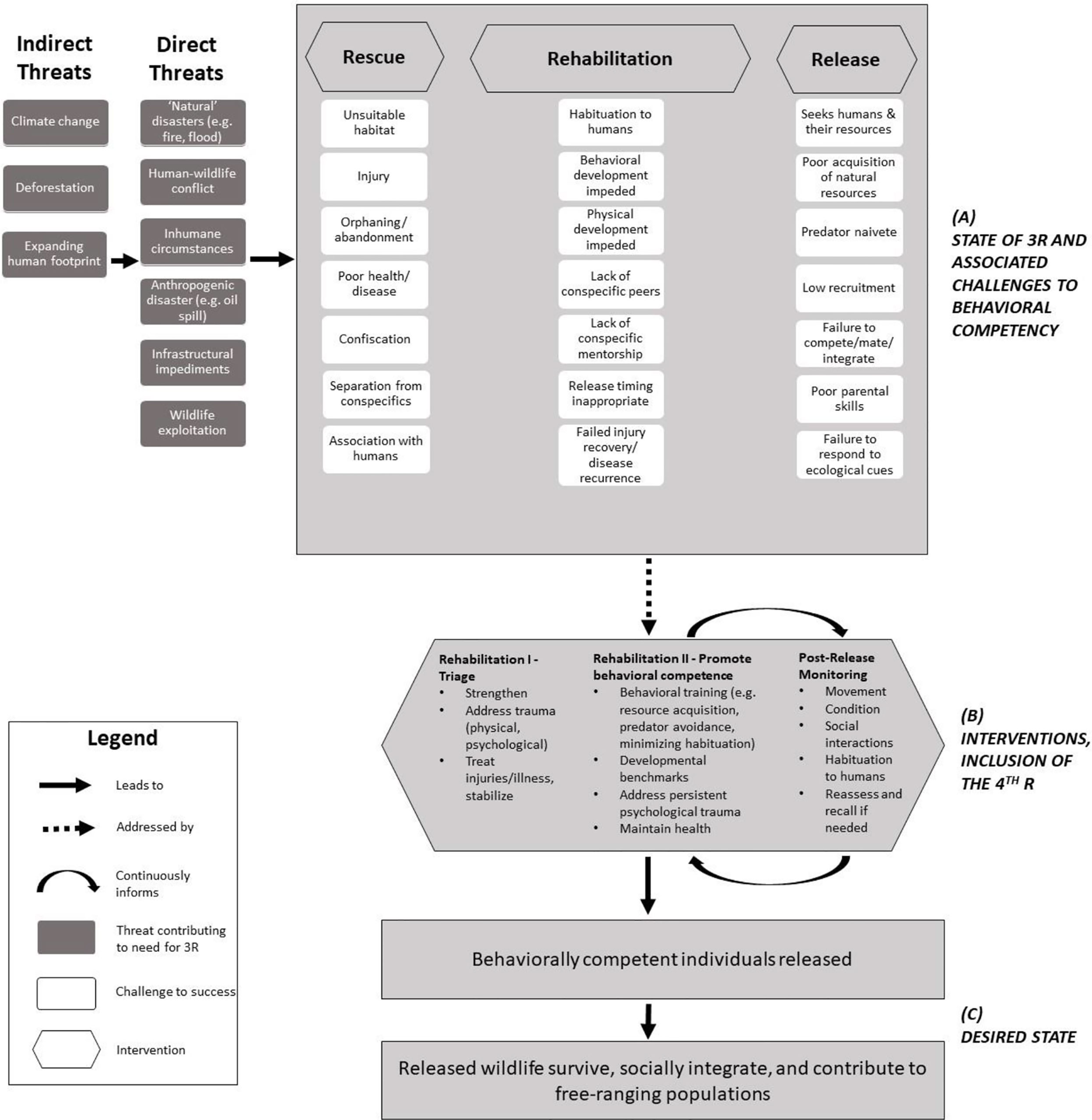 Into the Wild: Animal Microbiomes in Conservation