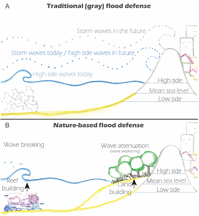 图2 - (A)传统的灰色洪水防御措施保护土地免受海浪和洪水的影响，但相对海平面上升使灰色洪水防御措施的效果较差。