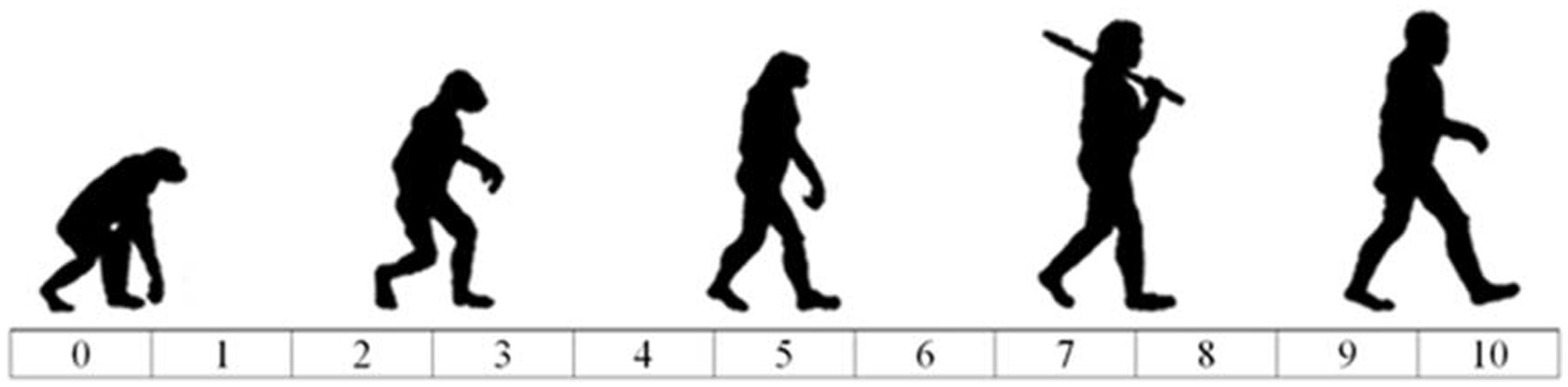www.frontiersin.org