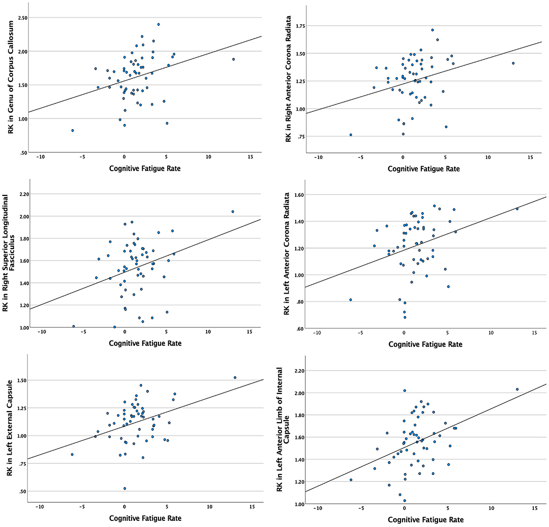 Frontiers | Associations of White Matter and Basal Ganglia