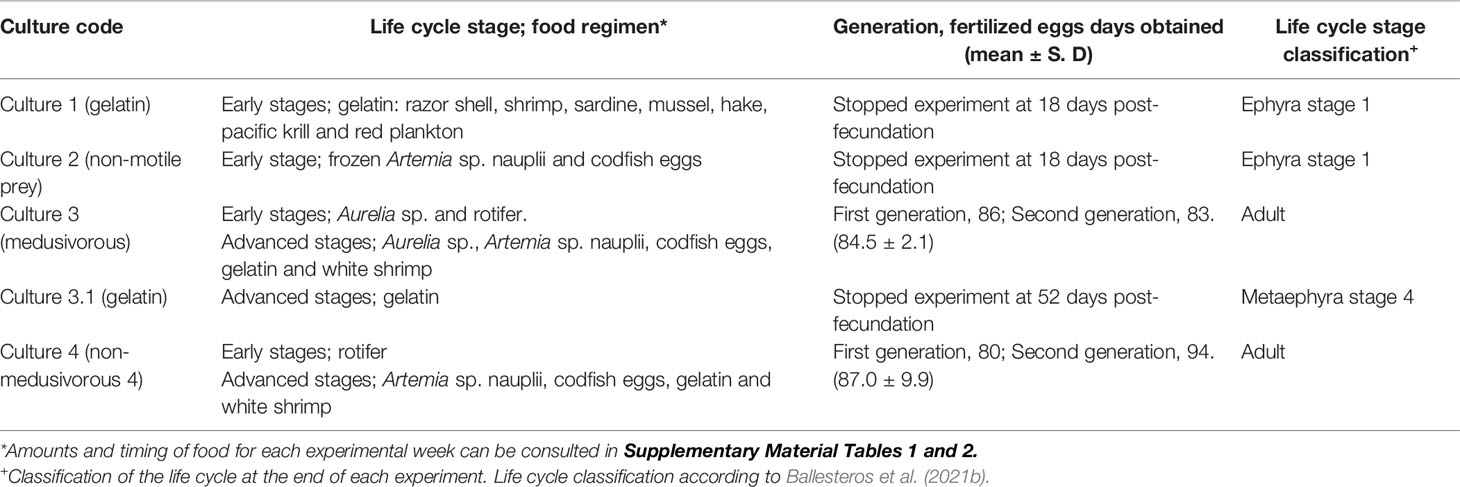 Bloodworms Profile: Life Cycle and Culture Guide - Shrimp and