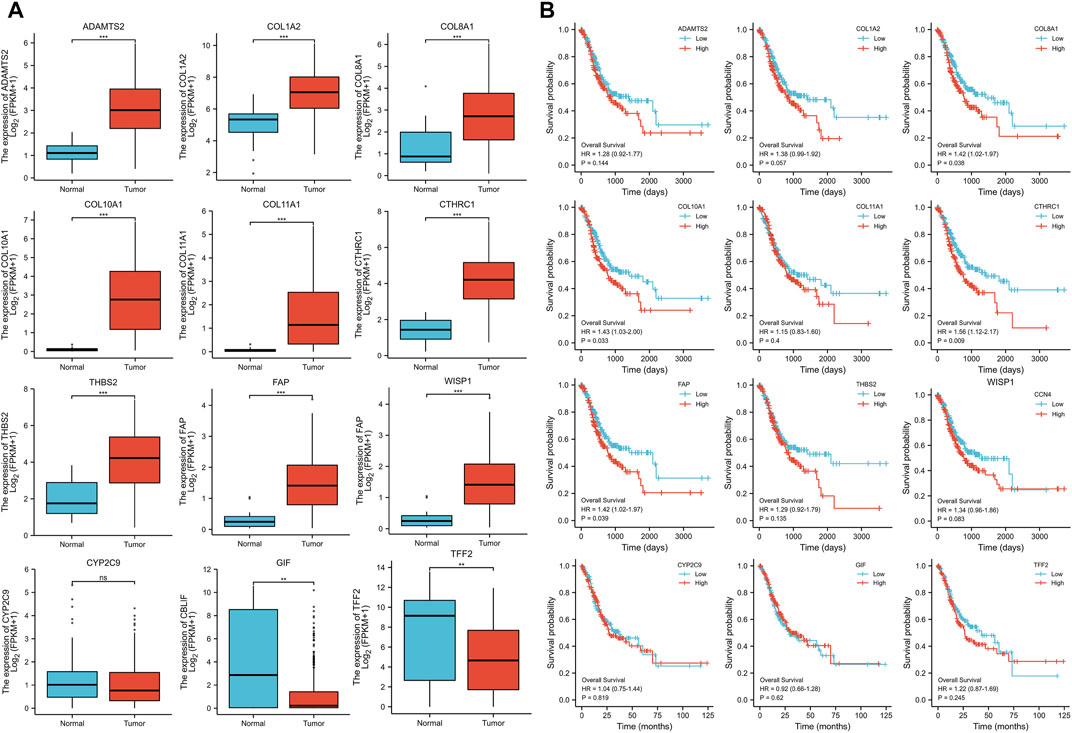 Progress of Gastric Cancer Surgery in the era of Precision Medicine