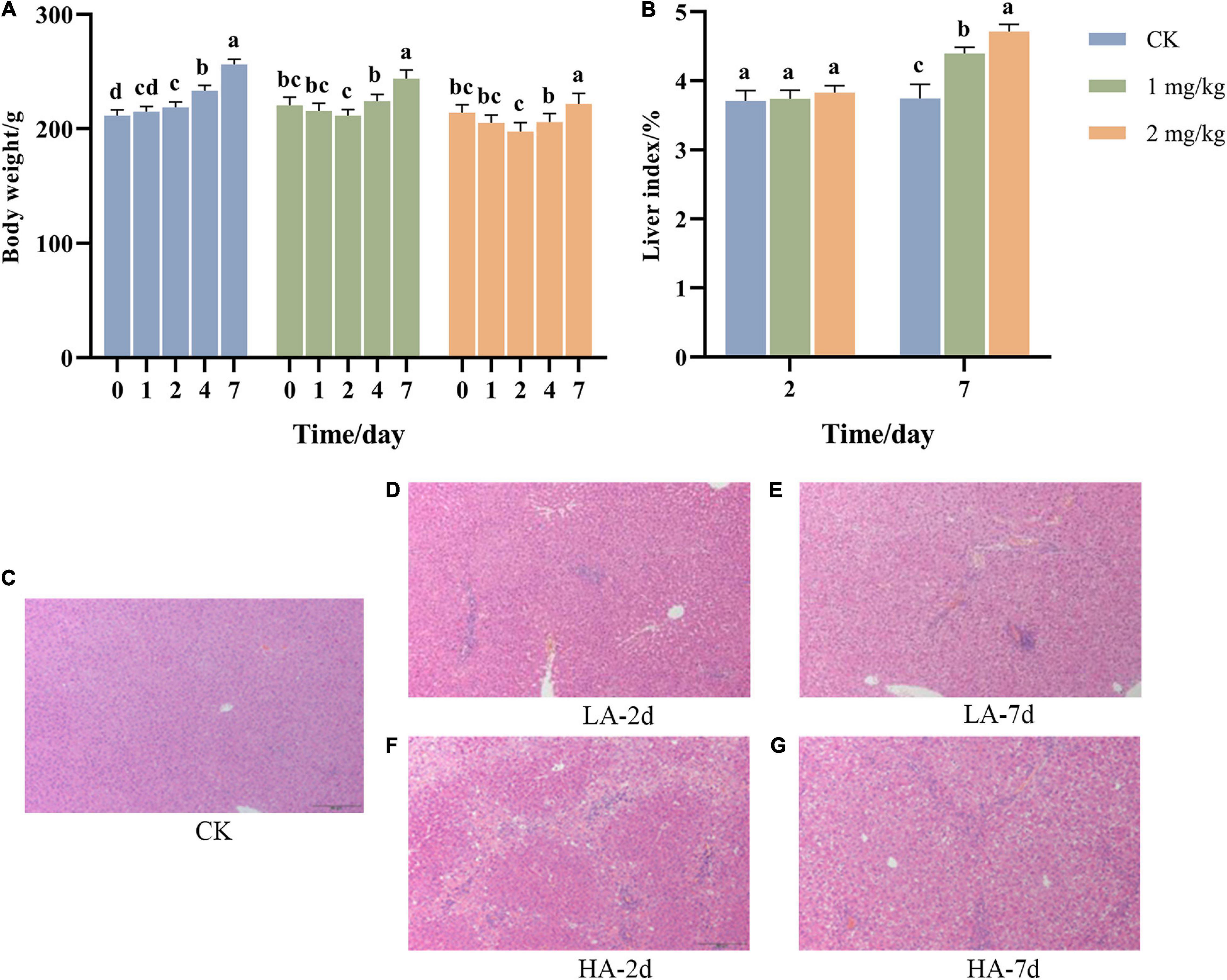 Frontiers  New Insights Into the Persistent Effects of Acute Exposure to  AFB1 on Rat Liver