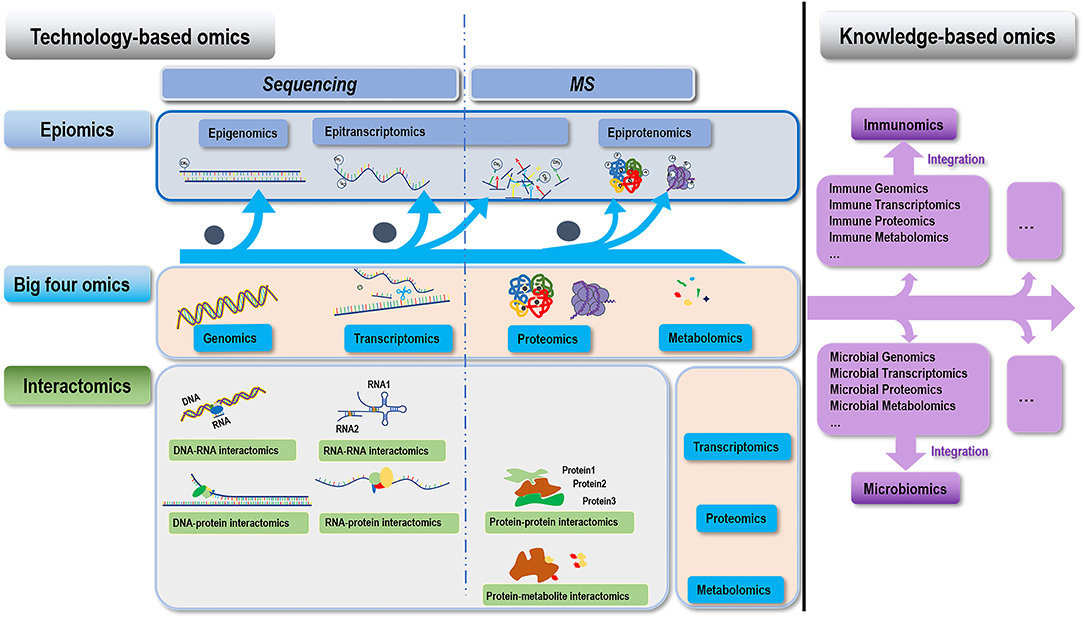 A sequence-based global map of regulatory activity for deciphering