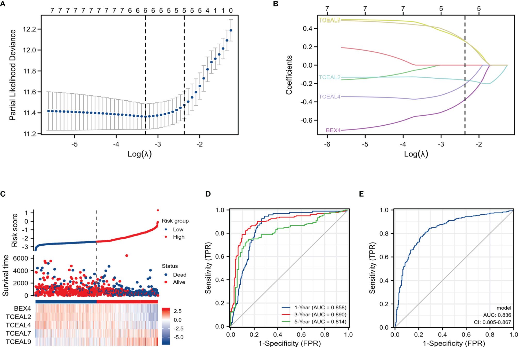 Epigenetic silencing of TCEAL7 (Bex4) in ovarian cancer