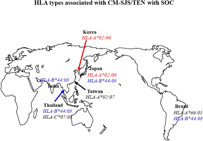 www.frontiersin.org