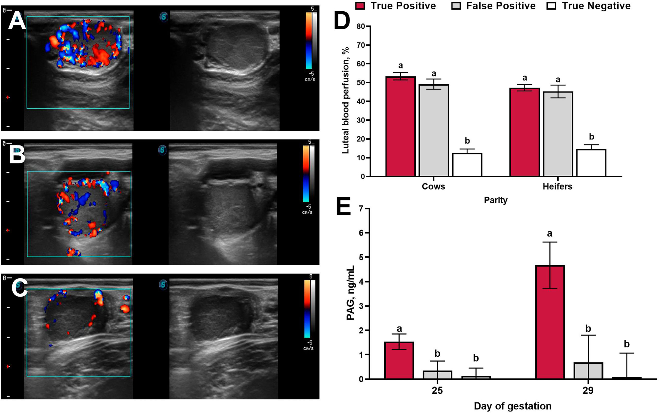 Frontiers Applied Use of Doppler Ultrasonography in Bovine Reproduction