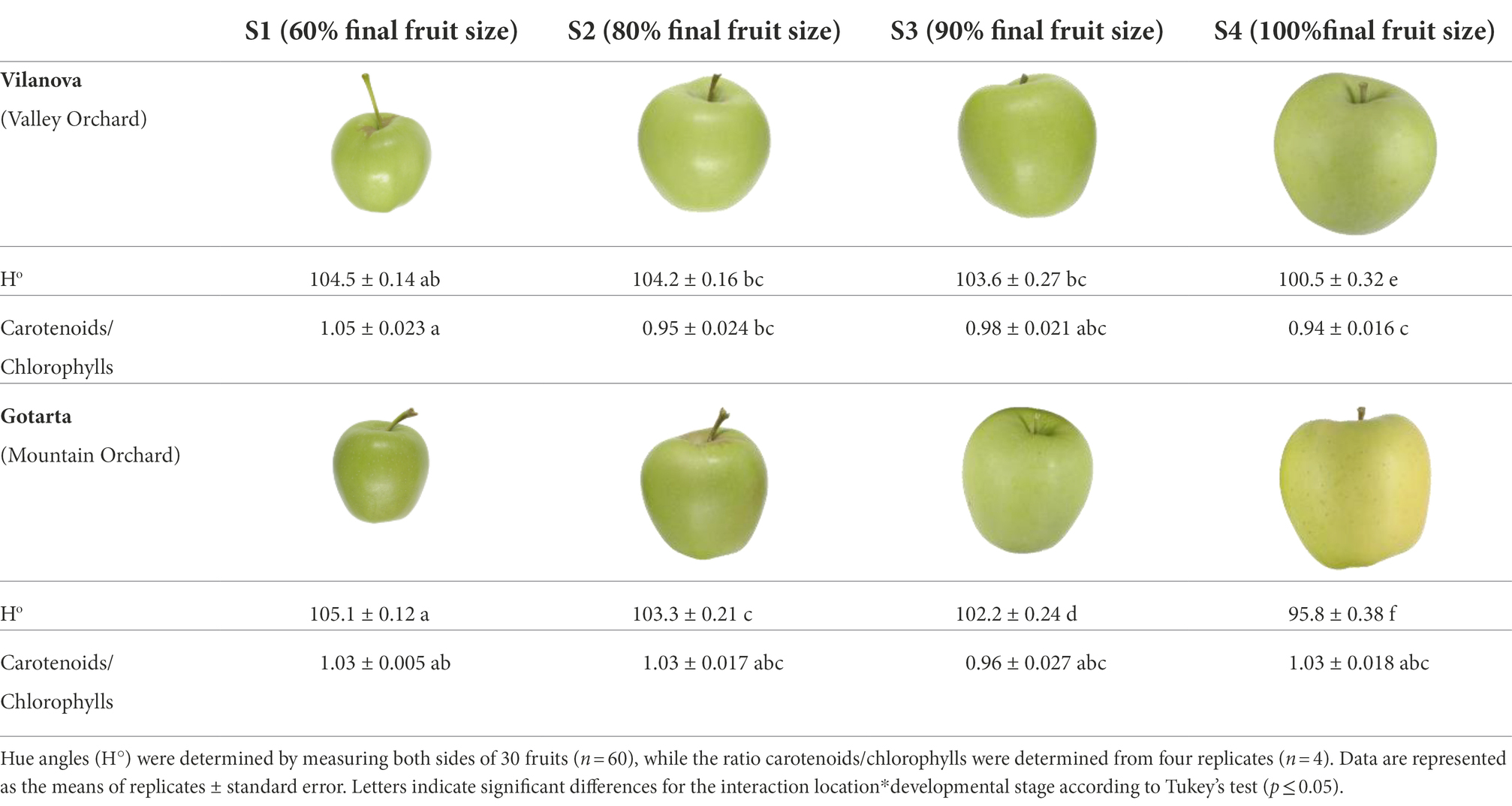 Transcriptomic and Metabolic Analyses Provide New Insights into the Apple  Fruit Quality Decline during Long-Term Cold Storage