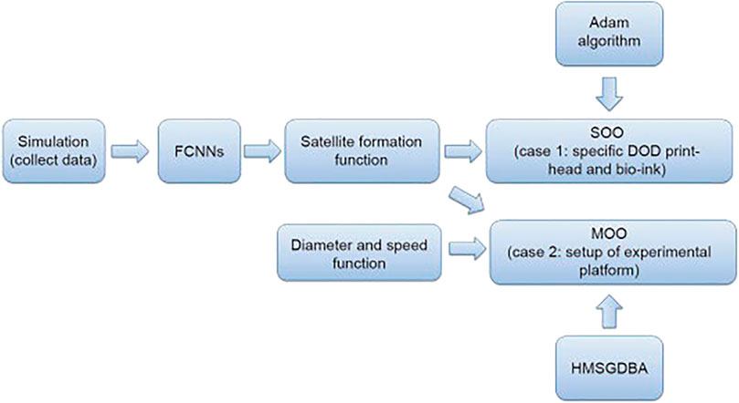 www.frontiersin.org