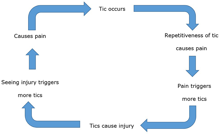 Frontiers | â€œI'm in pain and I want helpâ€: An online survey investigating  the experiences of tic-related pain and use of pain management techniques  in people with tics and tic disorders