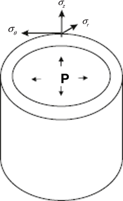 www.frontiersin.org