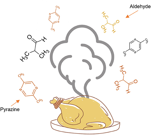 Figure 2 - When chicken is roasted, the advanced stage of the Maillard reaction produces volatile compounds including aldehydes and pyrazines, which are released into the air and reach our noses, allowing us to smell the aroma of the cooked food.