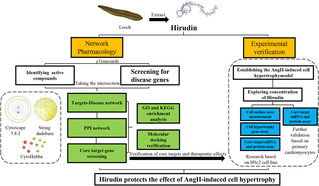 The effect of chronic lithium treatment on hippocampal progenitor cells:  Transcriptomic analysis and systems pharmacology - Jahandideh - 2023 -  Brain and Behavior - Wiley Online Library