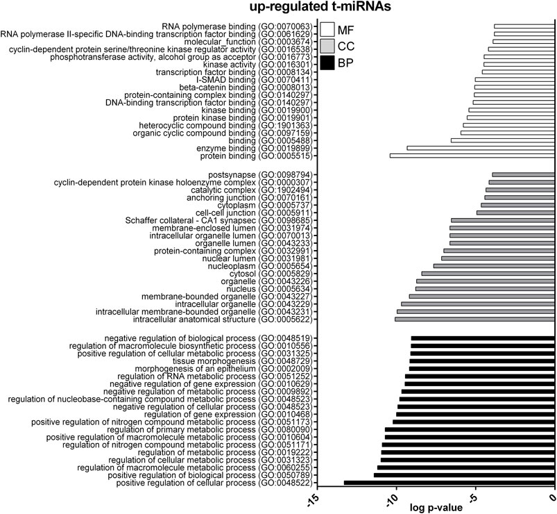 Frontiers  Acute changes in free and extracellular vesicle-associated  circulating miRNAs and myokine profile in professional sky-runners during  the Gran Sasso d'Italia vertical run