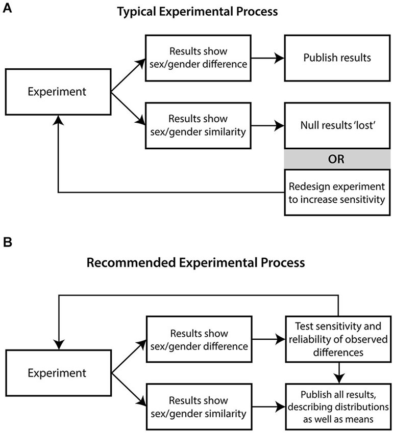 theoretical framework examples research paper