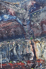 www.frontiersin.org