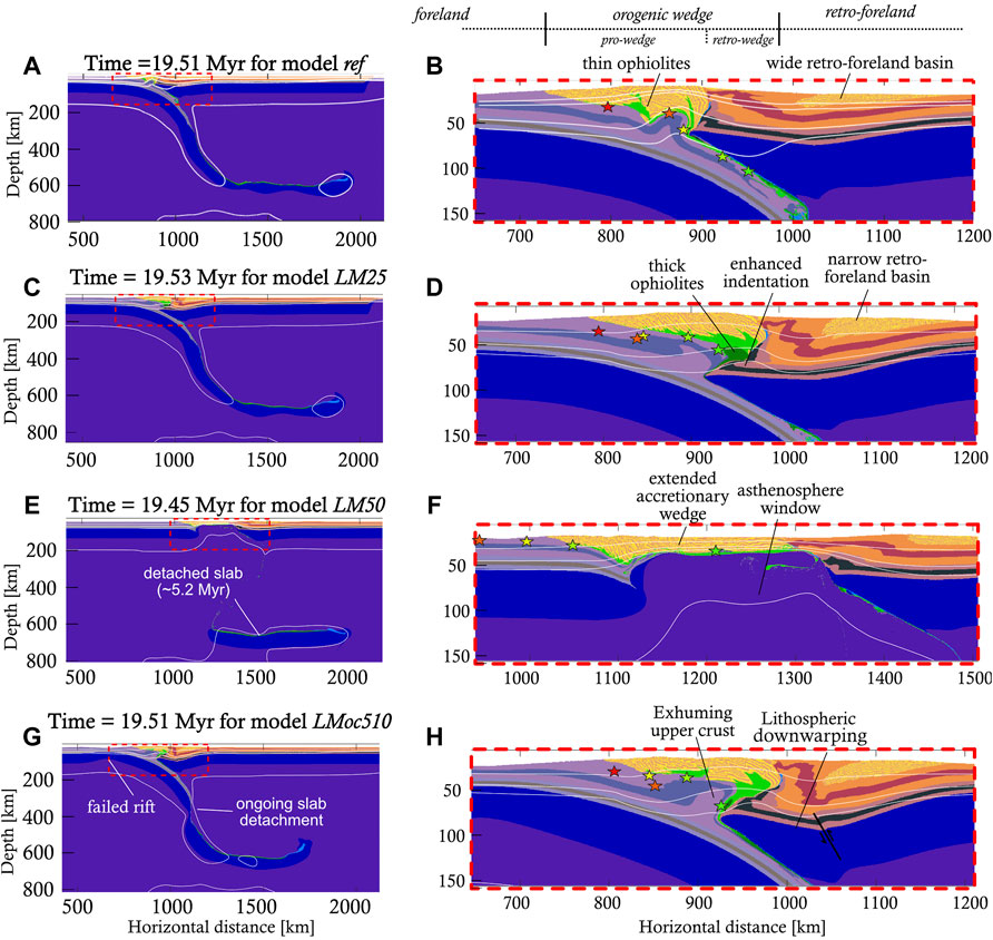 Accretionary and collisional orogenesis in the south domain of the