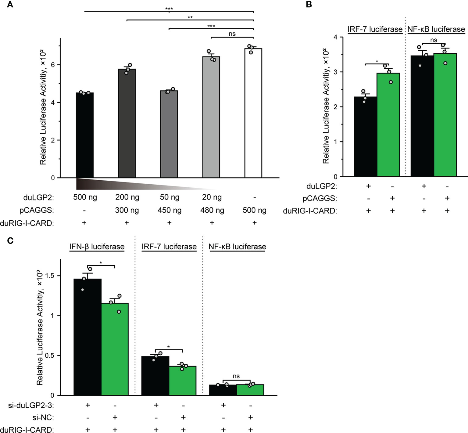 Frontiers | Duck LGP2 Downregulates RIG-I Signaling Pathway Frontiers | Duck LGP2 Downregulates RIG-I Signaling Pathway