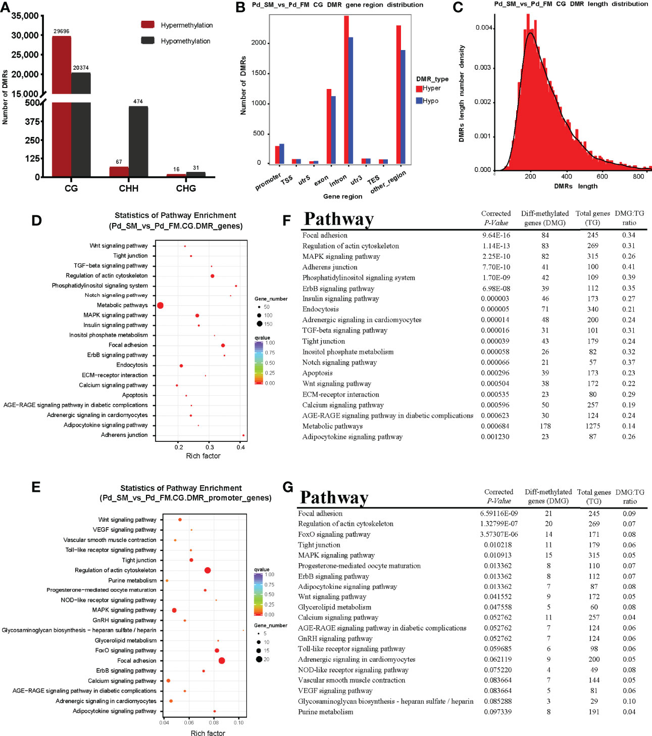 Frontiers | The Landscape of DNA Methylation Generates Insight 