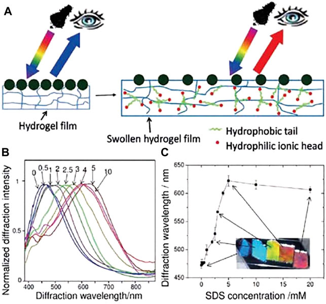 Microfabric and cathodoluminescence characteristics of the coating of