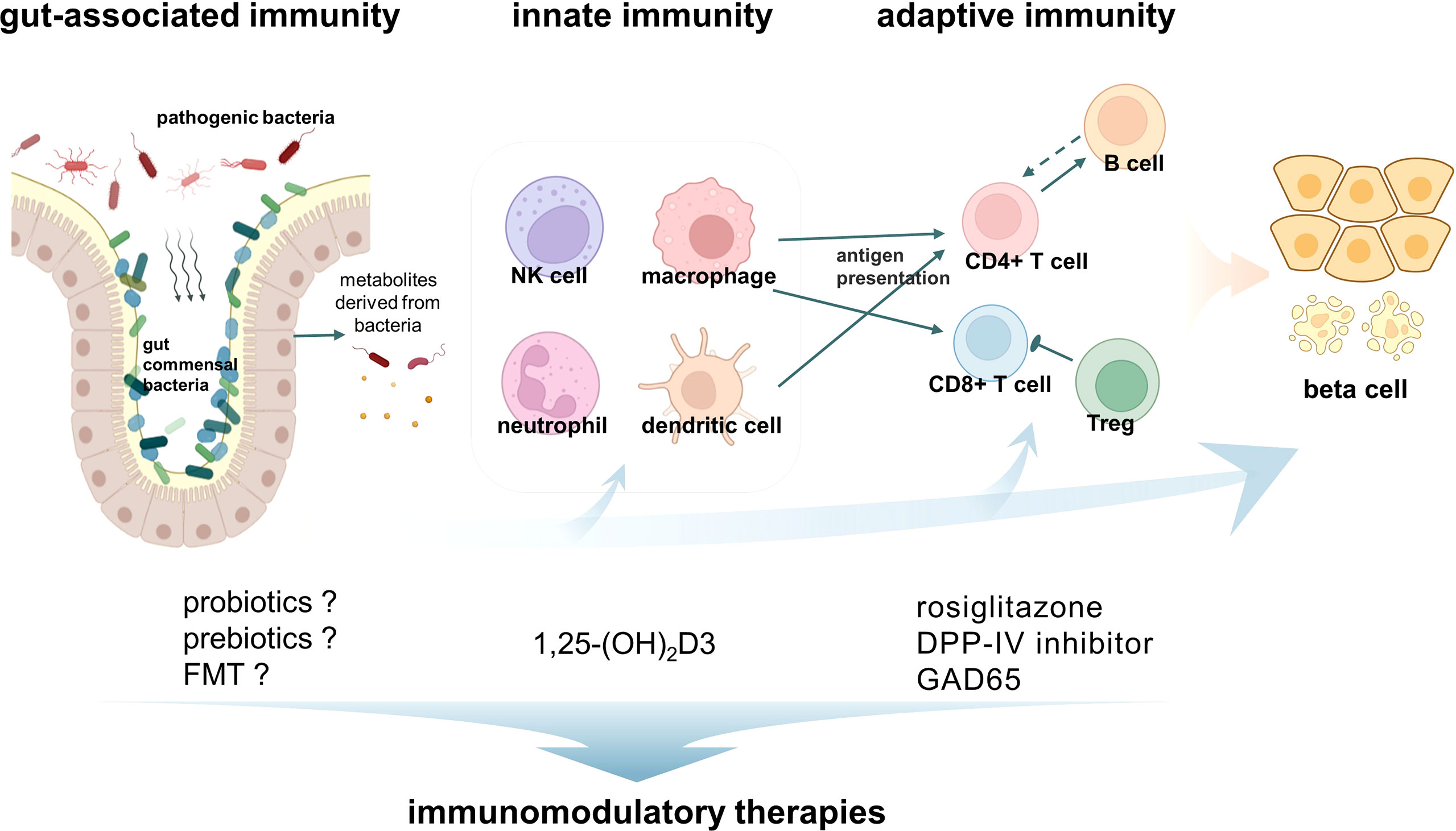 presentation of latent autoimmune diabetes