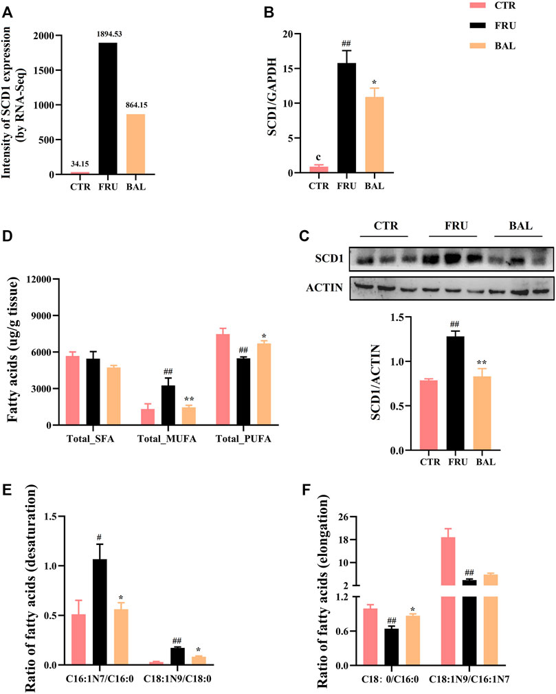 Monoacylglycerol Acyltransferase 2 (MGAT2) Inhibitors for the Treatment of  Metabolic Diseases and Nonalcoholic Steatohepatitis (NASH)