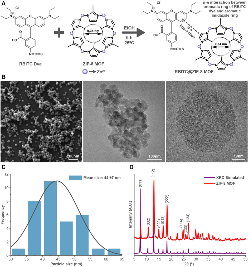 Recent progress of zeolitic imidazolate frameworks (ZIFs) in