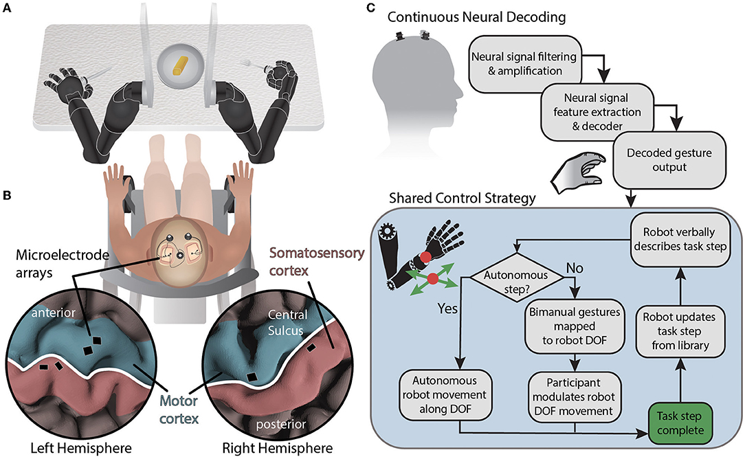 A brain-computer interface that evokes tactile sensations improves robotic  arm control