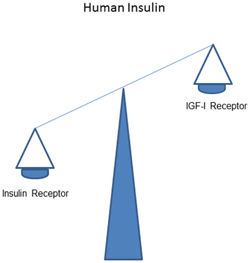 www.frontiersin.org