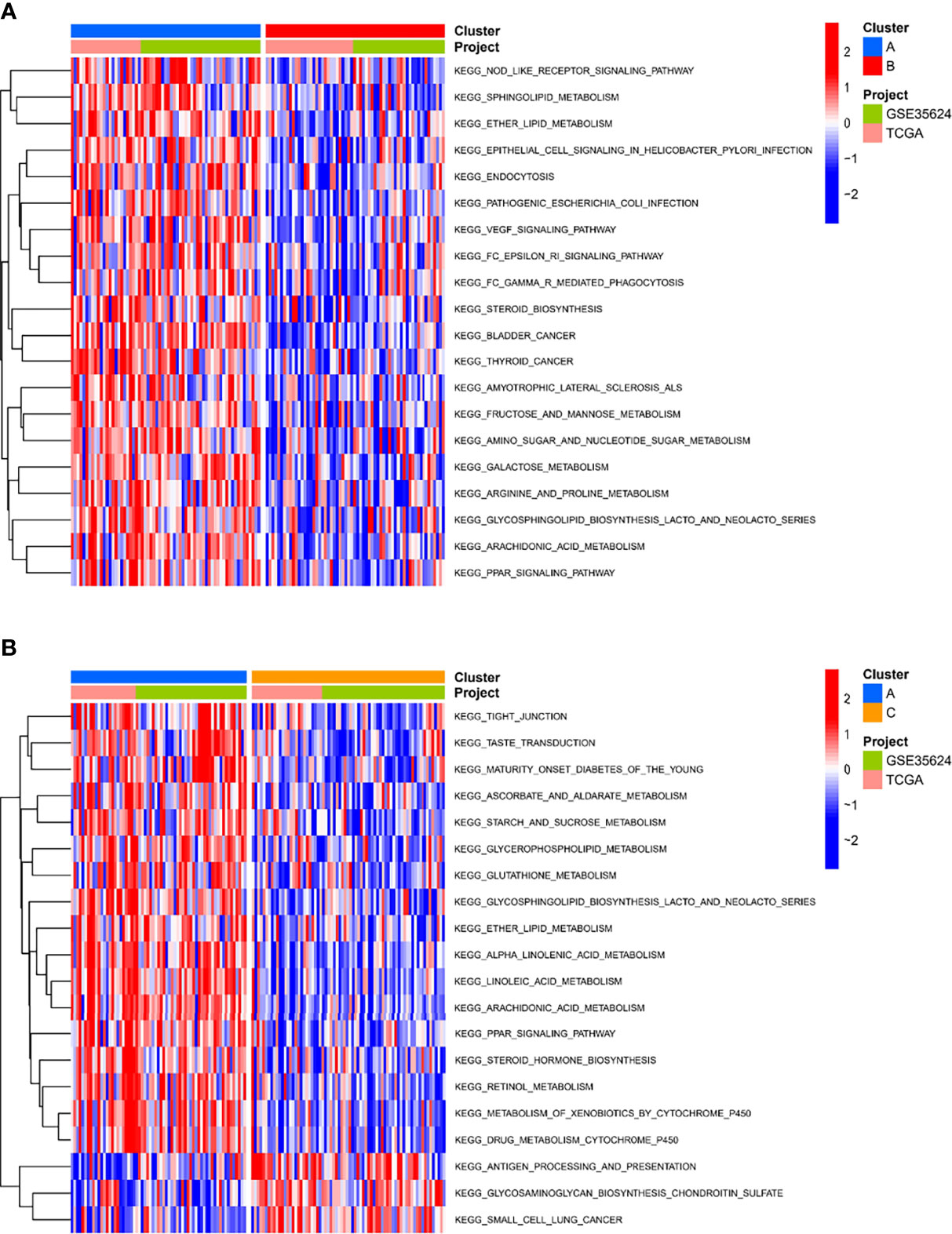 Frontiers Exploring The Potential Of Exosome Related LncRNA Pairs As frontiers-exploring-the-potential-of-exosome-related-lncrna-pairs-as