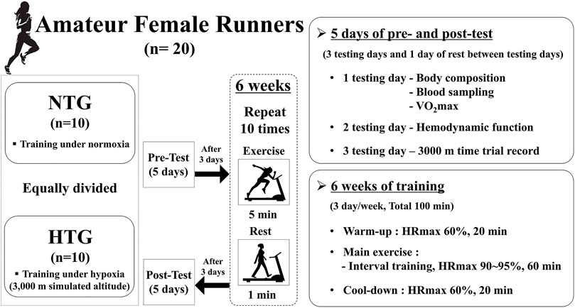 Frontiers Effects of Interval Training Under Hypoxia on Hematological Parameters, Hemodynamic Function, and Endurance Exercise Performance in Amateur Female Runners in Korea