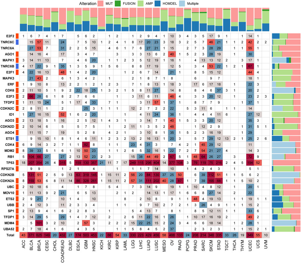 Frontiers | Comprehensive Pan-Cancer Analysis of Senescence With Cancer ...