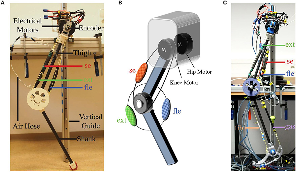 How does an electric motor works? - Actuate Minds