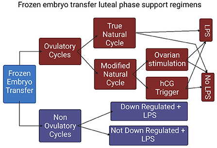 Length of luteal phase (bars) and lowest serum progesterone (®lled