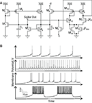 www.frontiersin.org